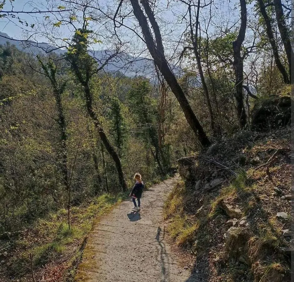Una Yurta Fra Gli Ulivi E Il Mare Rapallo 0*,