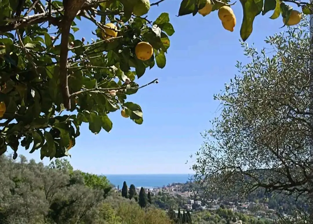 Lyxtält Una Yurta Fra Gli Ulivi E Il Mare Rapallo