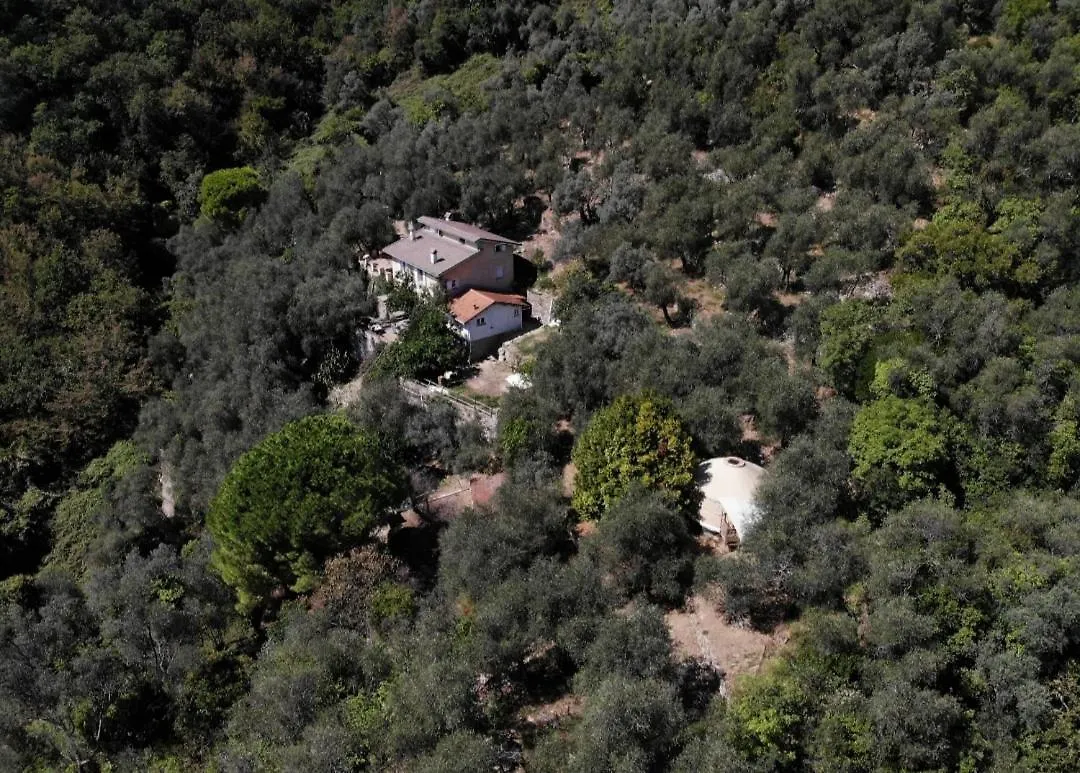 Una Yurta Fra Gli Ulivi E Il Mare Rapallo Italien