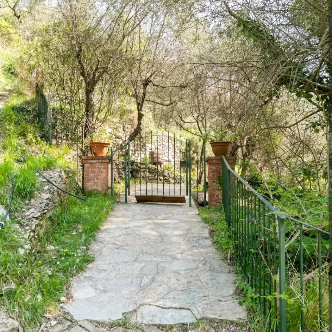 Lyxtält Una Yurta Fra Gli Ulivi E Il Mare Rapallo