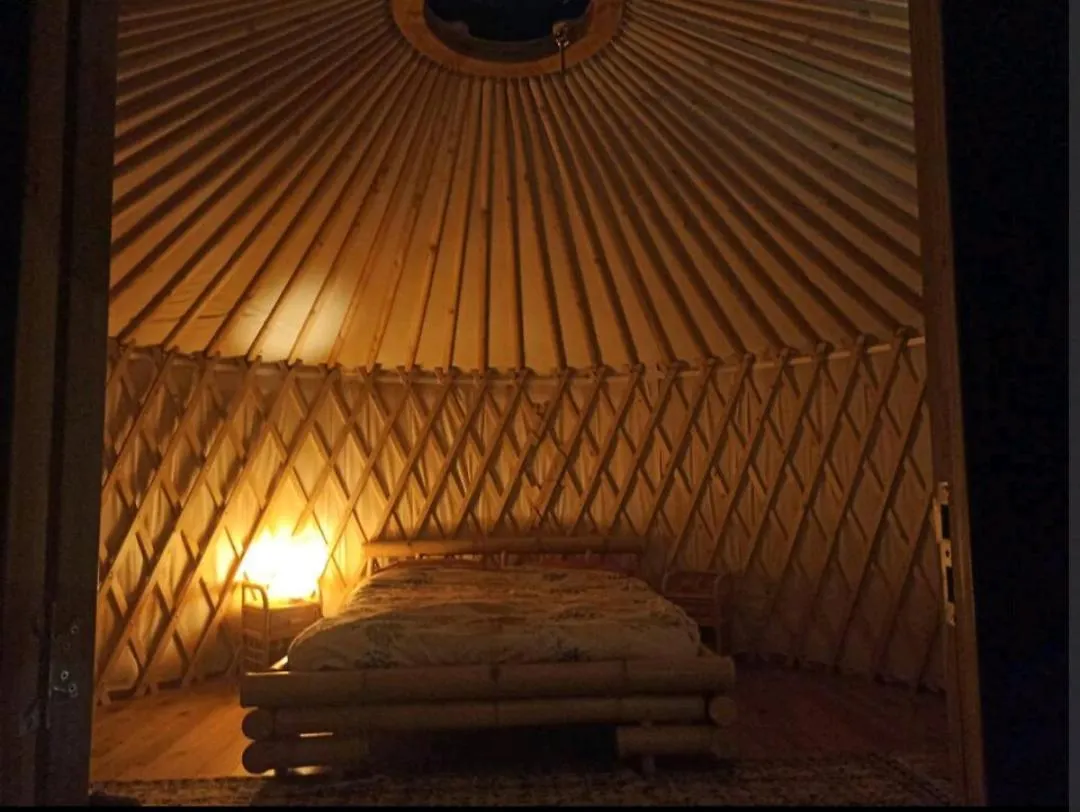 Una Yurta Fra Gli Ulivi E Il Mare Rapallo