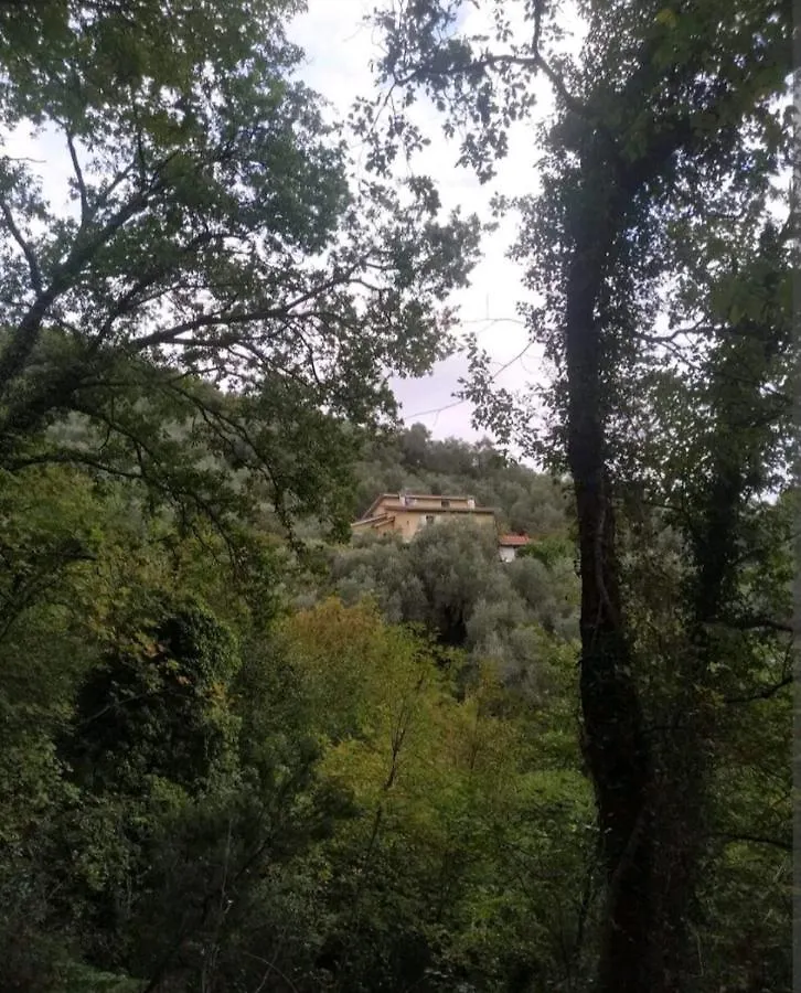 Una Yurta Fra Gli Ulivi E Il Mare Rapallo Luxury tent