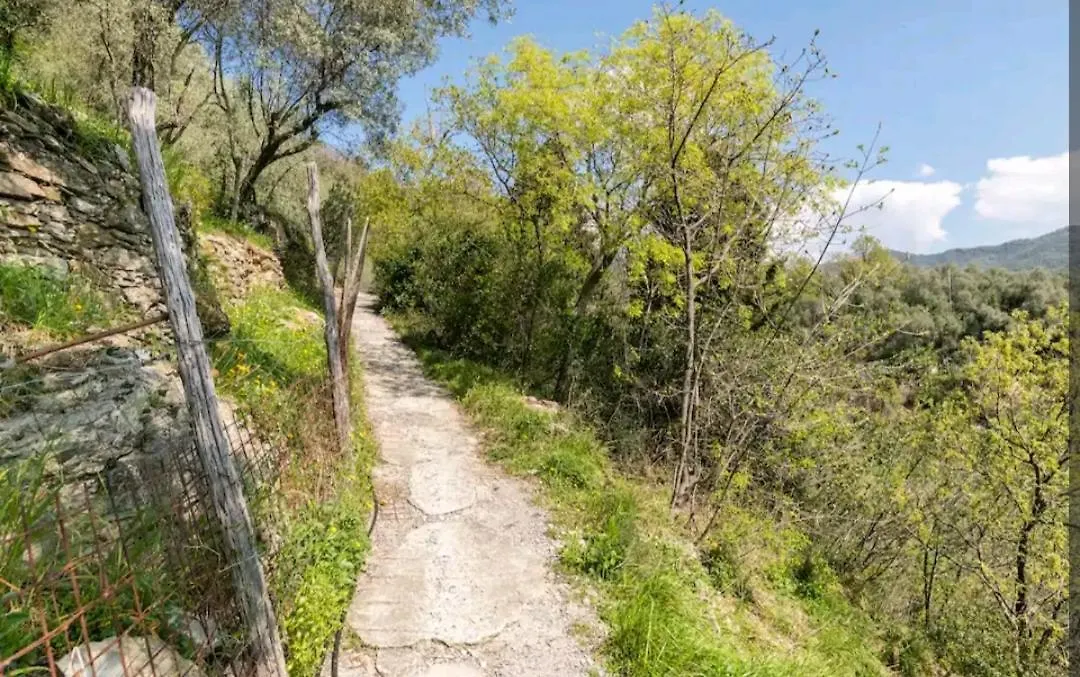Una Yurta Fra Gli Ulivi E Il Mare Rapallo 0*,